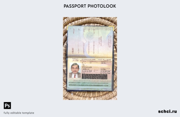 скачать цифровую версию шаблона фотографии паспорта Чада